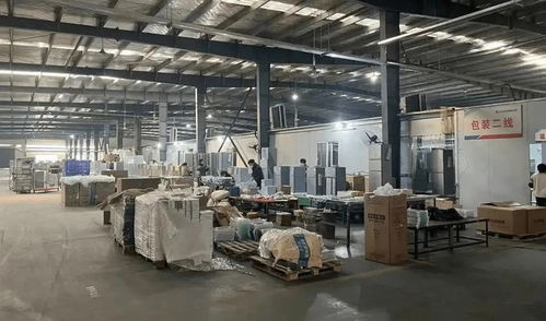 95后小宇宙的能量 做傳統(tǒng)小家電一年銷(xiāo)售近百萬(wàn)美金