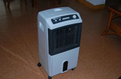 新居家電避坑指南 盤(pán)點(diǎn)七件最易閑置的“裝灰”電器