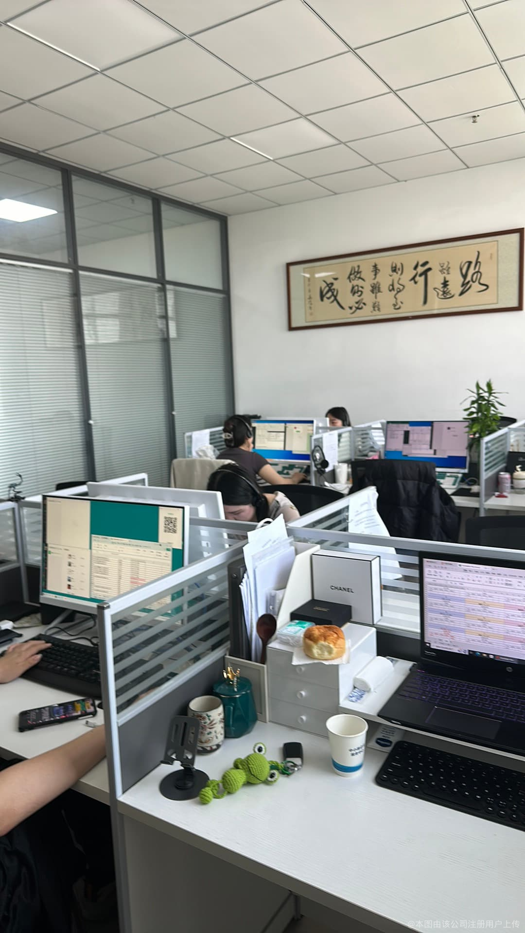 譯家財務咨詢服務 您的財務管理專家
